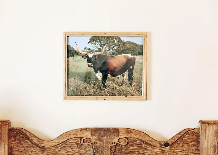 Motel The Longhorn Ranch & Rv Park 3*